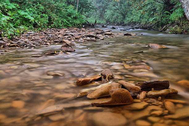 강 산. bieszczady - saltwater flats coastal feature landscape national park 뉴스 사진 이미지