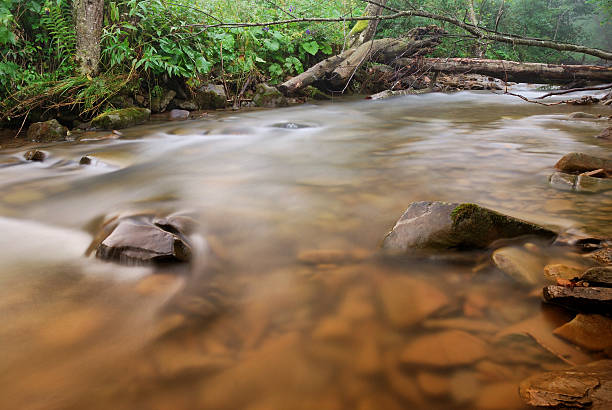 강 산. bieszczady - saltwater flats coastal feature landscape national park 뉴스 사진 이미지