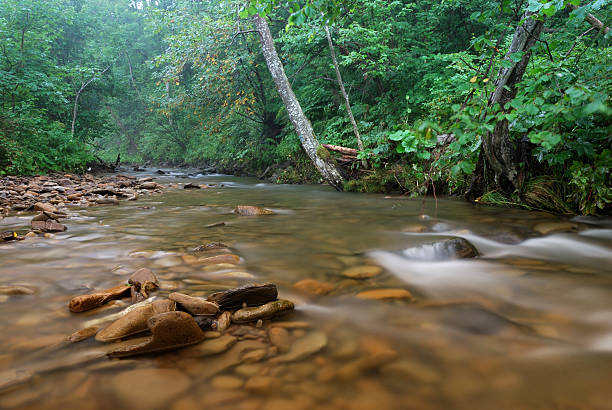 강 산. bieszczady - saltwater flats coastal feature landscape national park 뉴스 사진 이미지