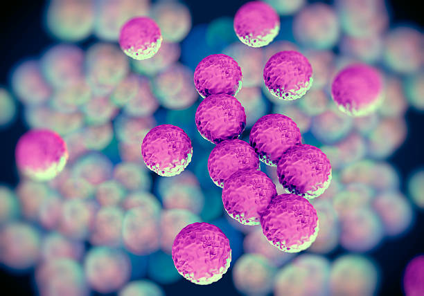 MRSA bacteria or superbug MRSA bacteria or superbug bacteria antibiotic resistant photos stock pictures, royalty-free photos & images