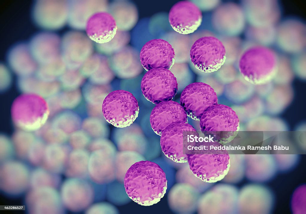 Ou superbug Staphylococcus aureus resistente à meticilina bactérias - Foto de stock de Staphylococcus aureus resistente à meticilina royalty-free