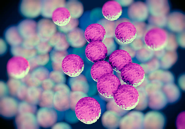 staphylococcus aureus resistente à meticilina bactérias ou superbug - anti bacteria imagens e fotografias de stock