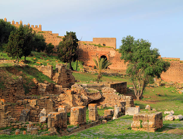 シェラ遺跡、rabat モロッコ - chellah ストックフォトと画像