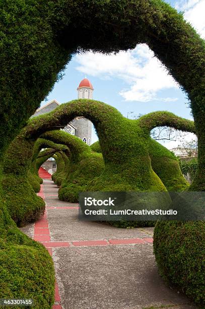 Topiary Arches In Zarcero Costa Rica Stock Photo - Download Image Now - Costa Rica, Topiary, Bush