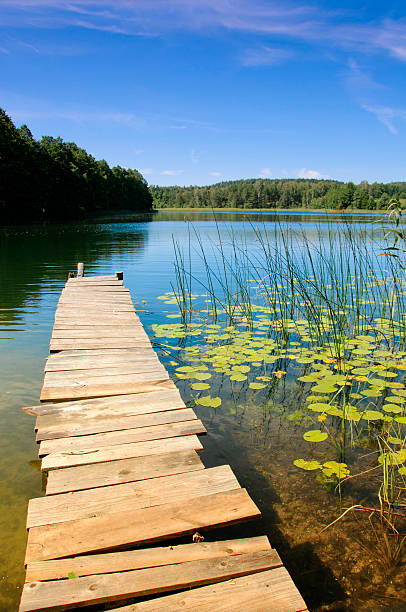 istock Lake Perty. Suwalki Landscape Park. 463301517