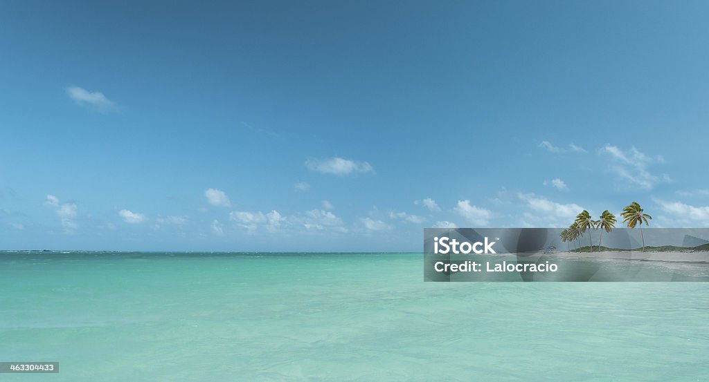 Mar y palmas de coco - Foto de stock de Isla libre de derechos