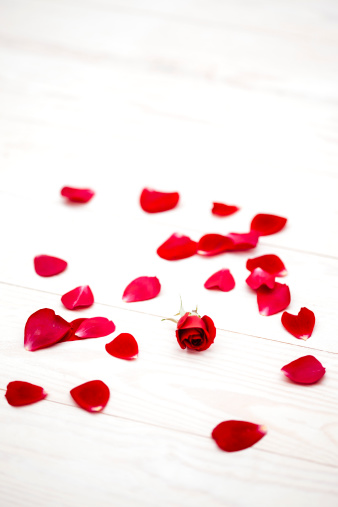 Fresh red rose petals on a white washed wood floor. Ideal image for romantic and love designs.