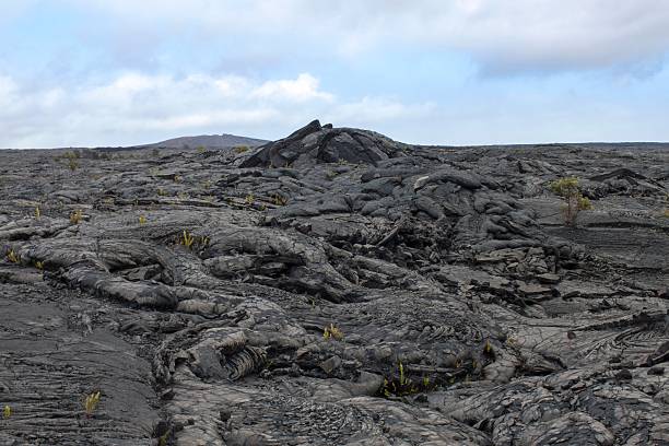 istock Black lava flows in Hawaii Volcano National Park 463312071