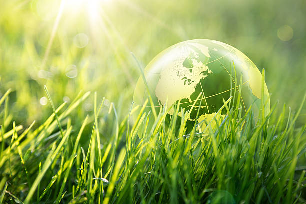 istock world enviromental concept - Usa 463312477
