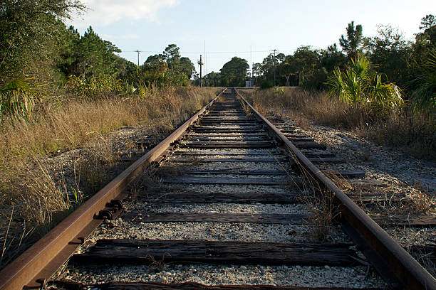 Looking down an old set of railroad tracks as the converge in the distance in an undeveloped section of florida with road crossing.