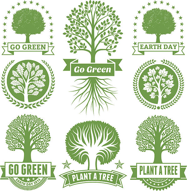 지구의 날 royalty free 벡터 버처 나무 배너 & 출입증 - earth day banner placard green stock illustrations