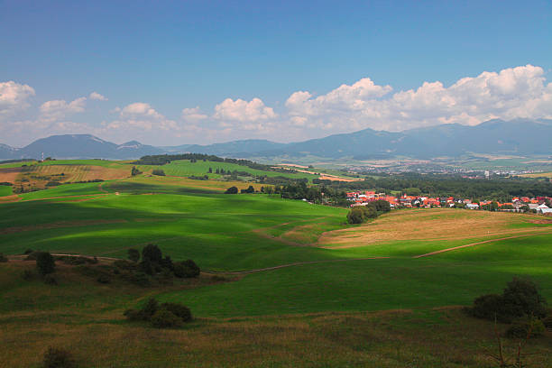 istock Countryside meadow landscape, Slovakia 463314673