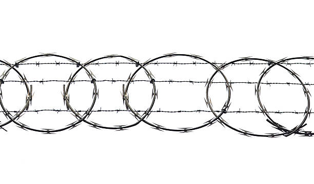 barbule fio em branco - barbed wire wire isolated nobody imagens e fotografias de stock