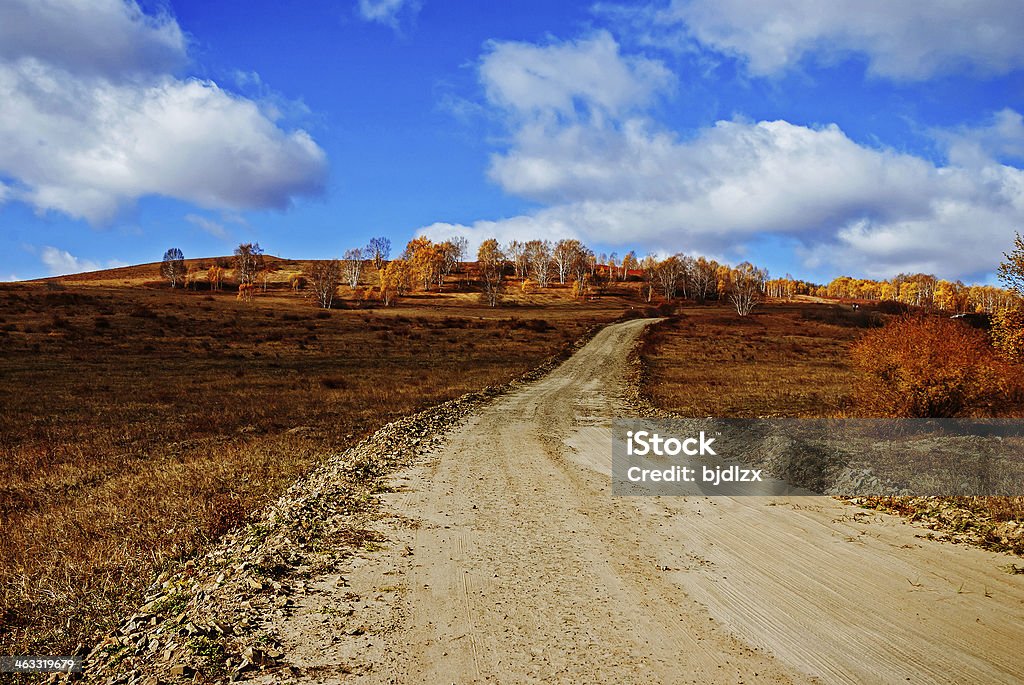 Grassland en otoño - Foto de stock de Aire libre libre de derechos