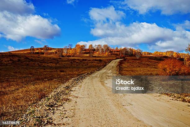 Grassland En Otoño Foto de stock y más banco de imágenes de Aire libre - Aire libre, Amarillo - Color, Azul