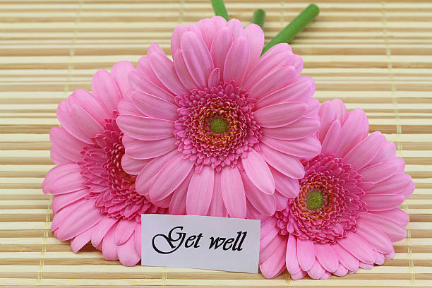 istock Get well card with pink gerbera daisies 463321789