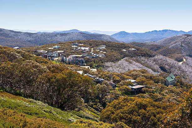 istock Mt Buller Village 463328153