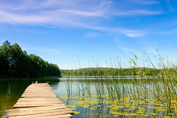 istock Lake Perty. Suwalki Landscape Park. 463328653