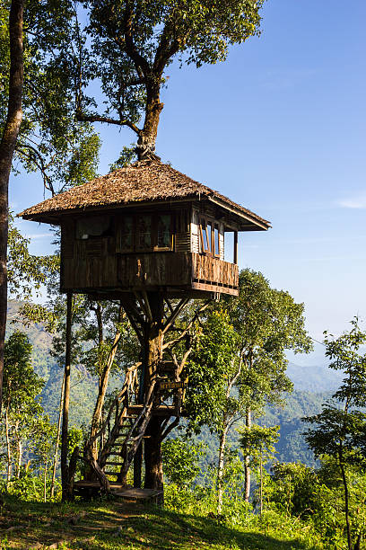 istock House on tree at Thong Pha Phum National Park 463334893