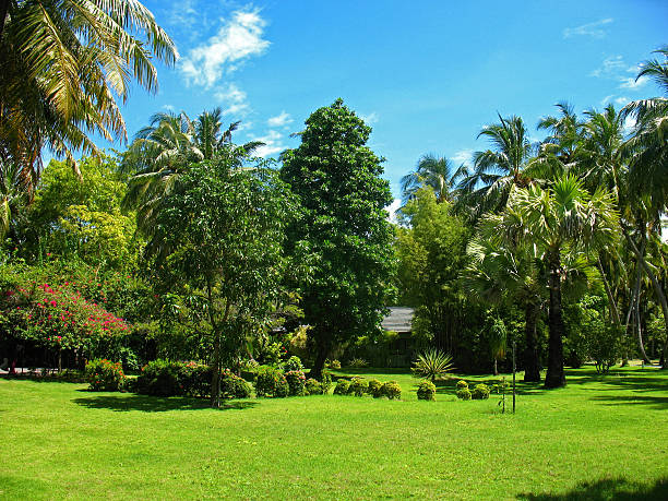 istock Tropical hotel garden 463335979