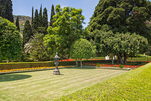 istock View on garden park with lawn and trees 463345393