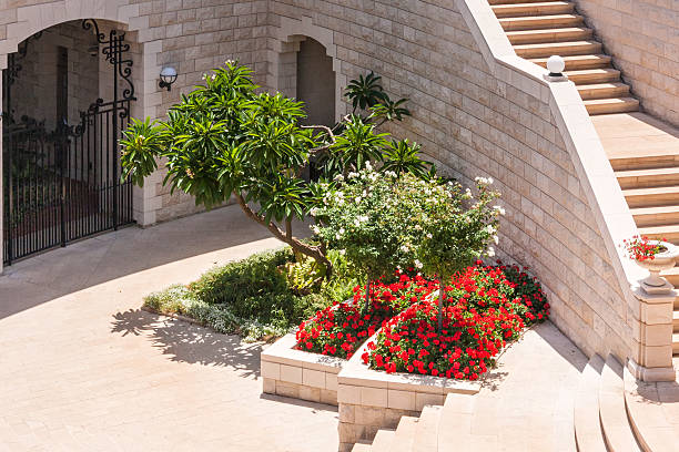 istock Flowerbed with blossoming flowers and tree near break stairway wall 463346737