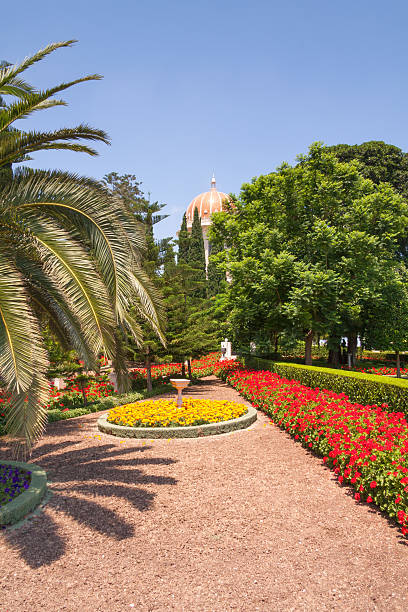 istock Garden park with paths, blossoming flowers in flowerbeds and trees 463346773