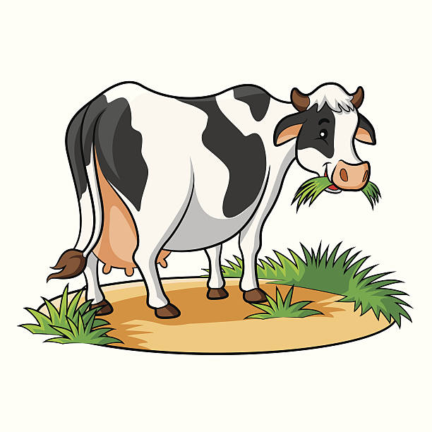 Cow Cartoon Stock Illustration - Download Image Now - Cow, Eating, Grass -  iStock