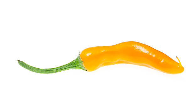 istock fresh colorful hot chili pepper on white 463349193
