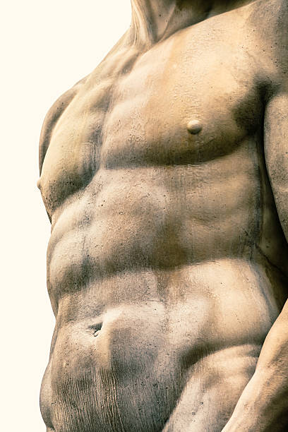 完璧なボディ、古代のイタリアの像 - human muscle the human body people muscular build ストックフォトと画像