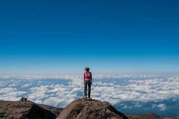 istock Looking out over africa Kilimanjaro 463353633