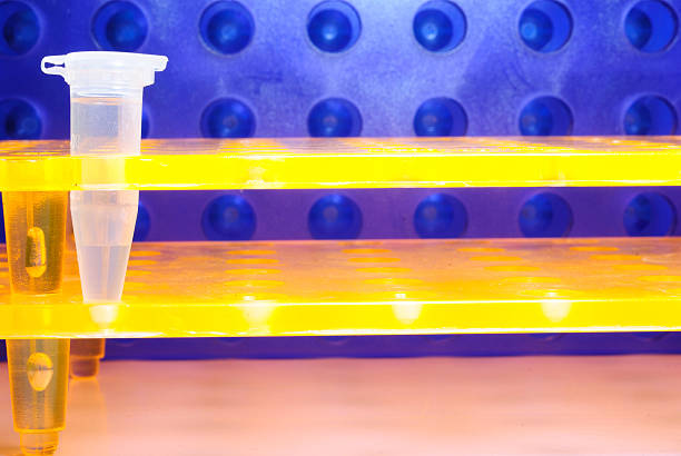 Lab detail. Test tubes, pipettes and othe lab equipment on a table.