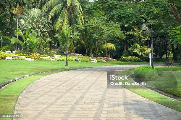 Garden Stock Photo - Download Image Now - Beauty, Beauty In Nature, Comfortable