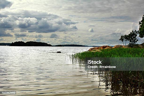 Foto de Lago Na Suécia e mais fotos de stock de Beleza - Beleza, Beleza natural - Natureza, Caniço