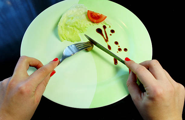 placa grande com uma pequena porção de comida - undernourishment imagens e fotografias de stock