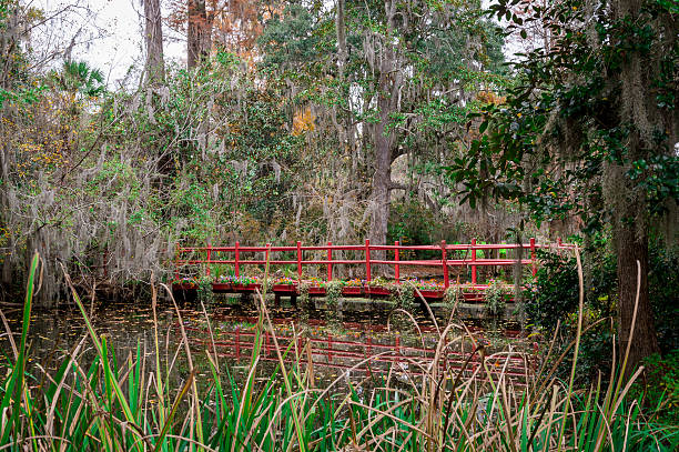 istock Beauty In The Swamp 463363951
