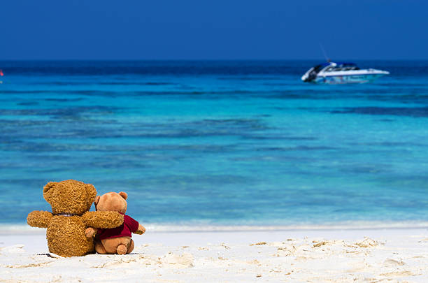 istock Two TEDDY BEAR brown color sitting on the beautiful beach 463365151