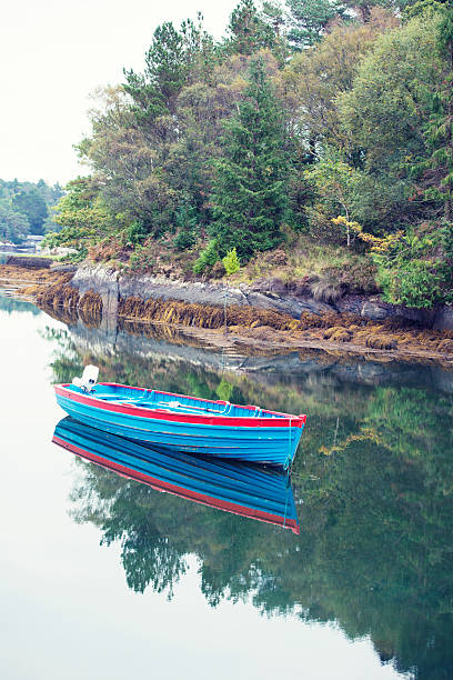 istock Blue Boat in Idyllic Irish Woodland Landscape 463370681