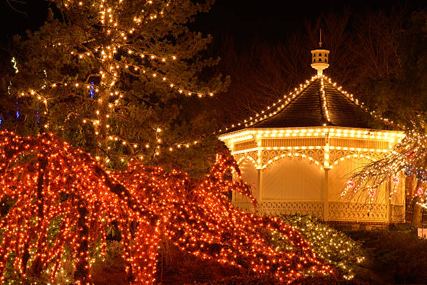 istock Gazebo and Christmas Lights 463370743