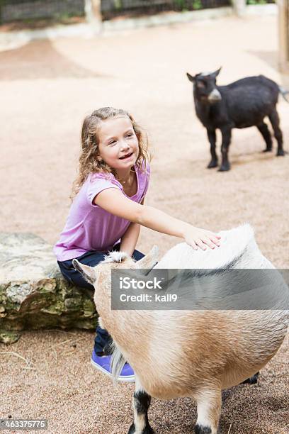 Foto de Garota No Zoológico e mais fotos de stock de 6-7 Anos - 6-7 Anos, Acariciar, Animal