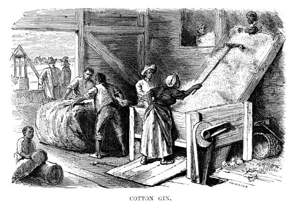 Cotton Gin Vintage engraving of a Cotton Gin on a Cotton Plantation, Georgia, USA. 1882 slave plantation stock illustrations