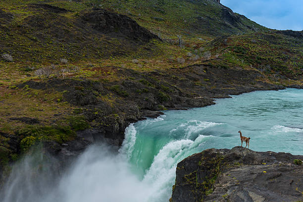 istock Salto Grande Waterfall in Paine River 463377205