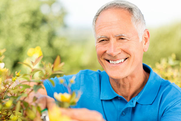 istock Senior Man Pruning Plants In Garden. 463384323