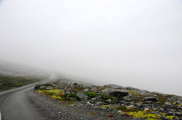 Foggy road stock photo