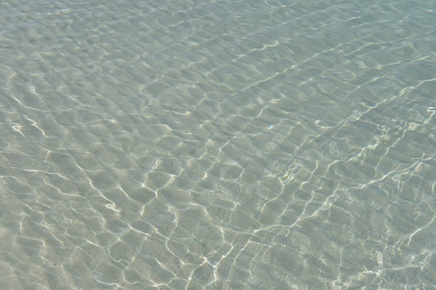 istock clear sea water, nature background 463387447