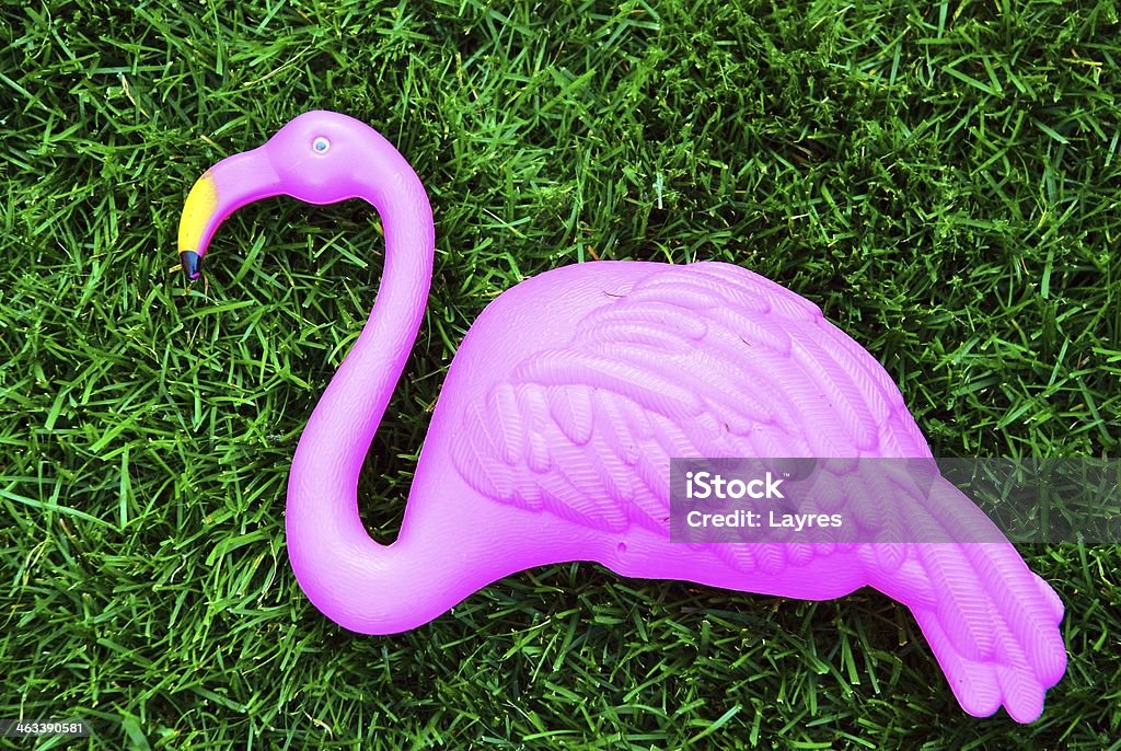 The pink Flamingo A plastic, pink flamingo laying in the grass. Animal Body Part Stock Photo