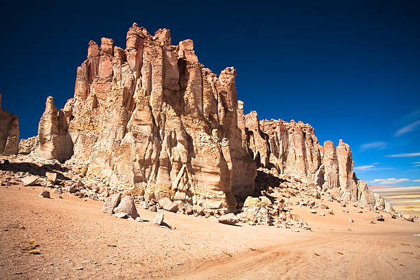 istock Rock cathedrals in Salar de Tara, Chile 463391005