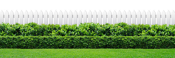 istock white fence and hedge 463393645