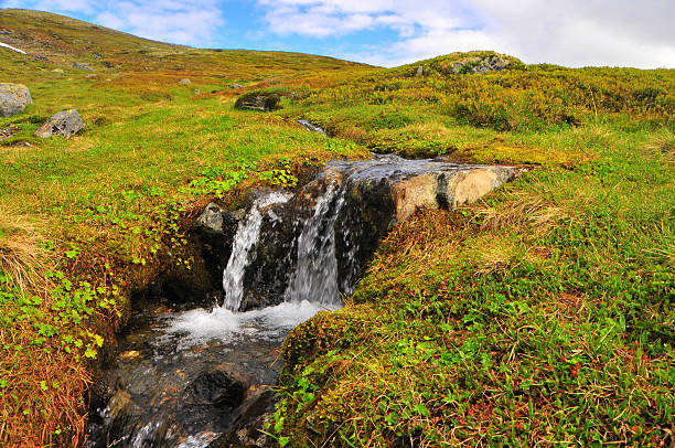 Creek stock photo