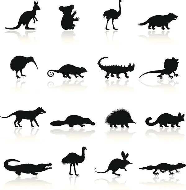 Vector illustration of Australian Animal Icon Set